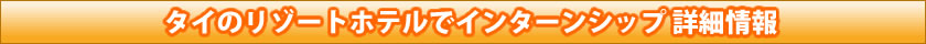 �^�C�̃��]�[�g�z�e���ŃC���^�[���V�b�v �ڍ׏��