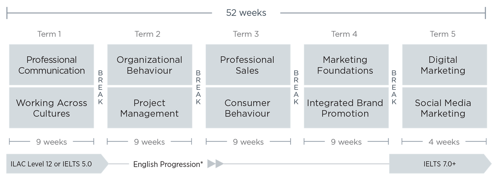 Sales & Marketing Diploma/52 Weeks