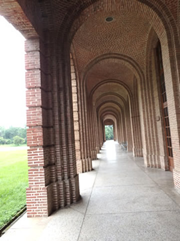 Forest Research Institute 2