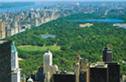 NEWYORK-MID TOWN(ニューヨーク ミッドタウン)-USA-