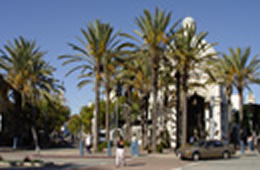 LOS ANGELES WESTWOOD(ロサンゼルス ウエストウッド)-USA-