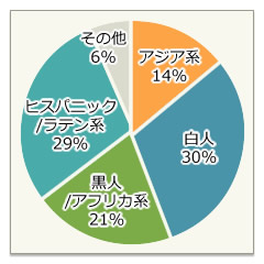 人種比率