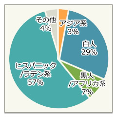 人種比率