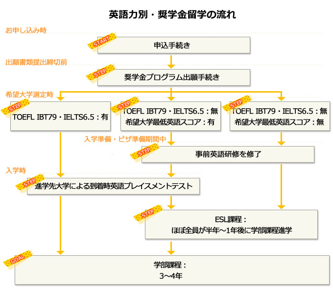 英語力別・奨学金留学の流れ