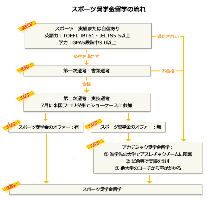 スポーツ奨学金留学の流れ