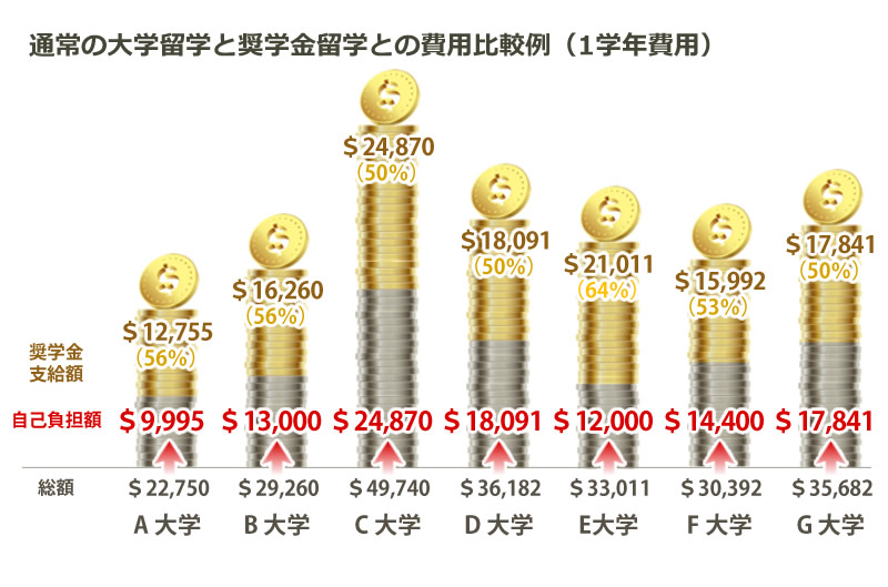 通常の大学留学と奨学金留学との費用比較例（1学年費用）