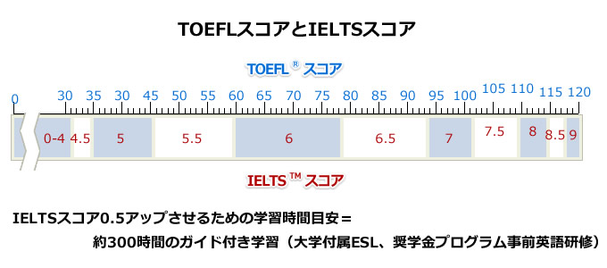 TOEFLスコアとIELTSスコア