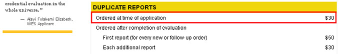 Duplicate Report（複製レポート）